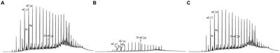 Differential degradation of petroleum hydrocarbons by Shewanella putrefaciens under aerobic and anaerobic conditions